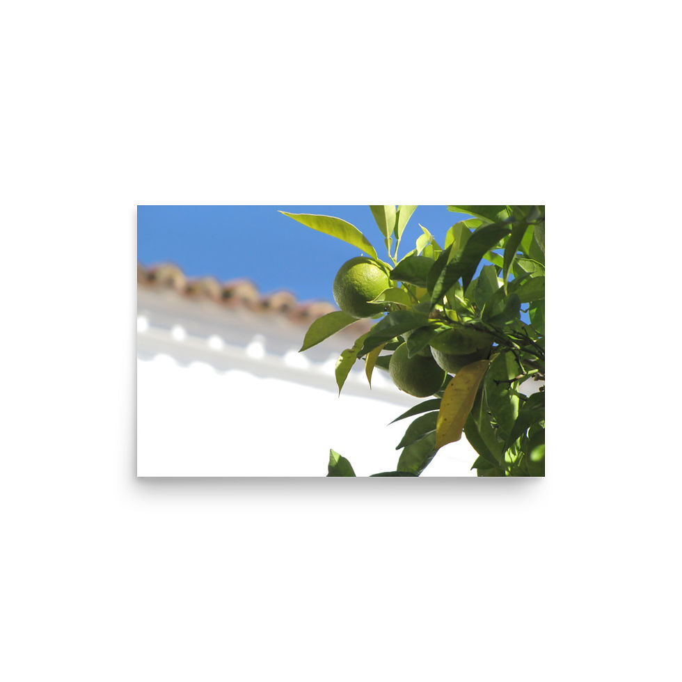 Thumbnail: Lemons and white houses
