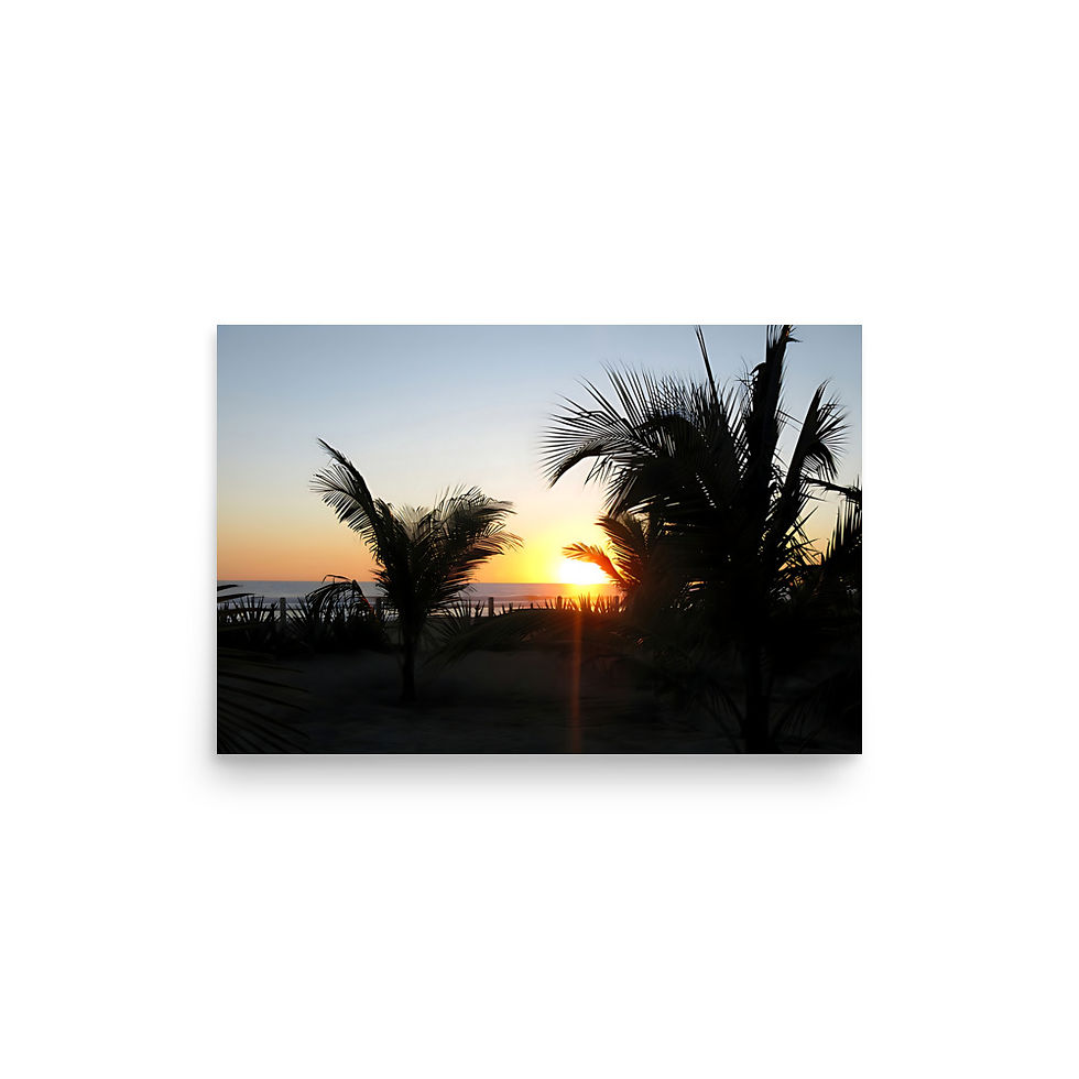 Thumbnail: Palms on the beach