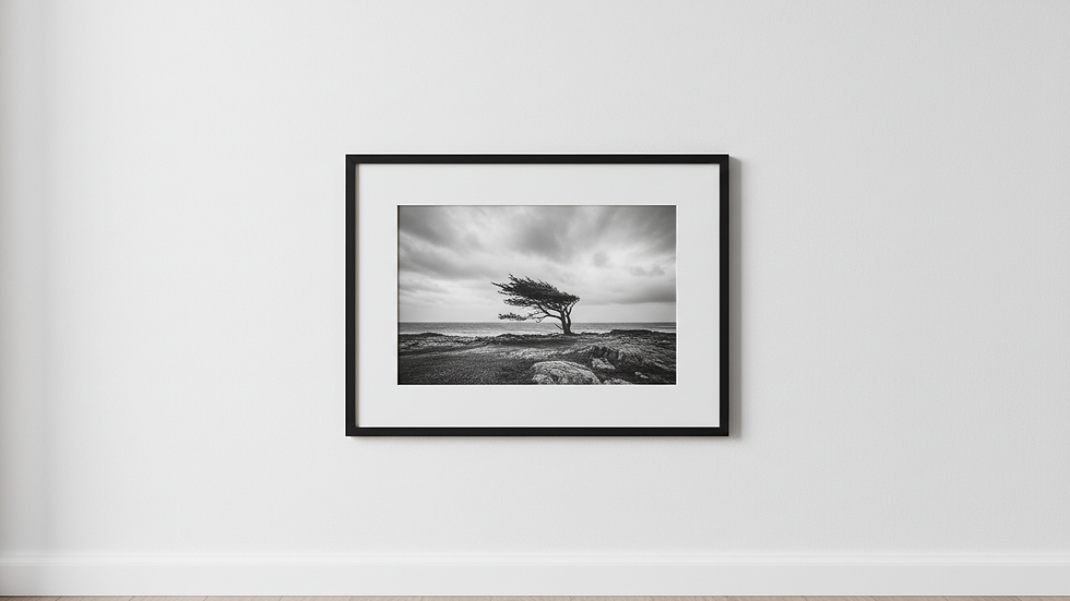 Close-up view of a framed black and white photograph hanging on a white wall