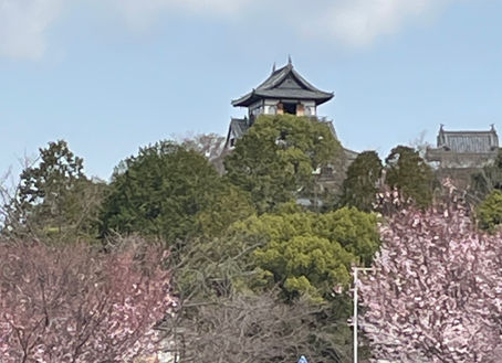 臨時休業のお知らせ