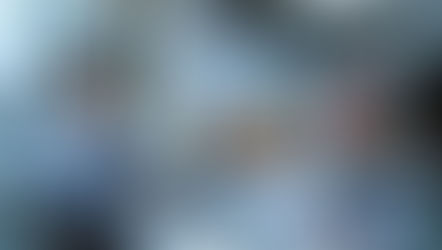 出口：重慶森林