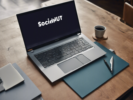 Unlock Your Brand's Potential with SocialNutt Marketing Services