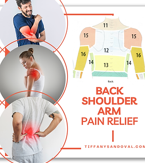 ts BACK SHOULDER ARM .png