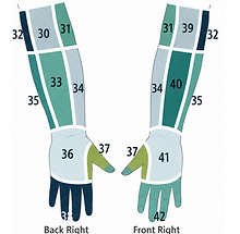 ELBOW TO HAND PAIN PATTERNS .png