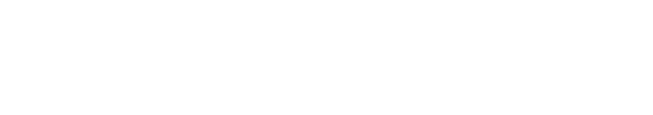 Mallaspesu logo nega.png