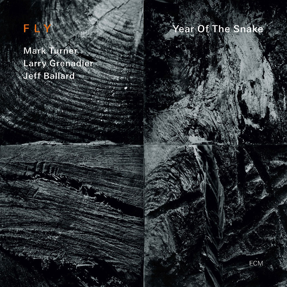 Fly: Year of the Snake (CD) 【ECM】