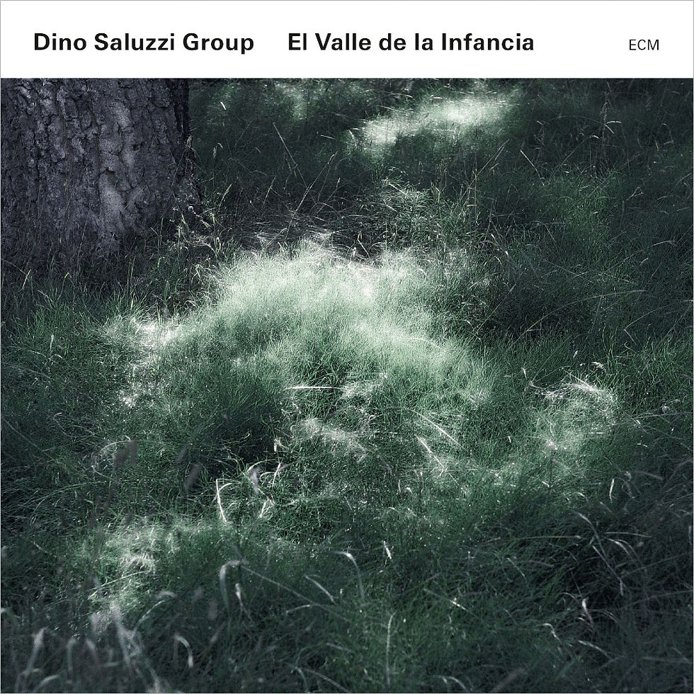 迪諾.薩魯茲:童年之谷 Dino Saluzzi Group: El Valle de la Infancia (CD) 【ECM】
