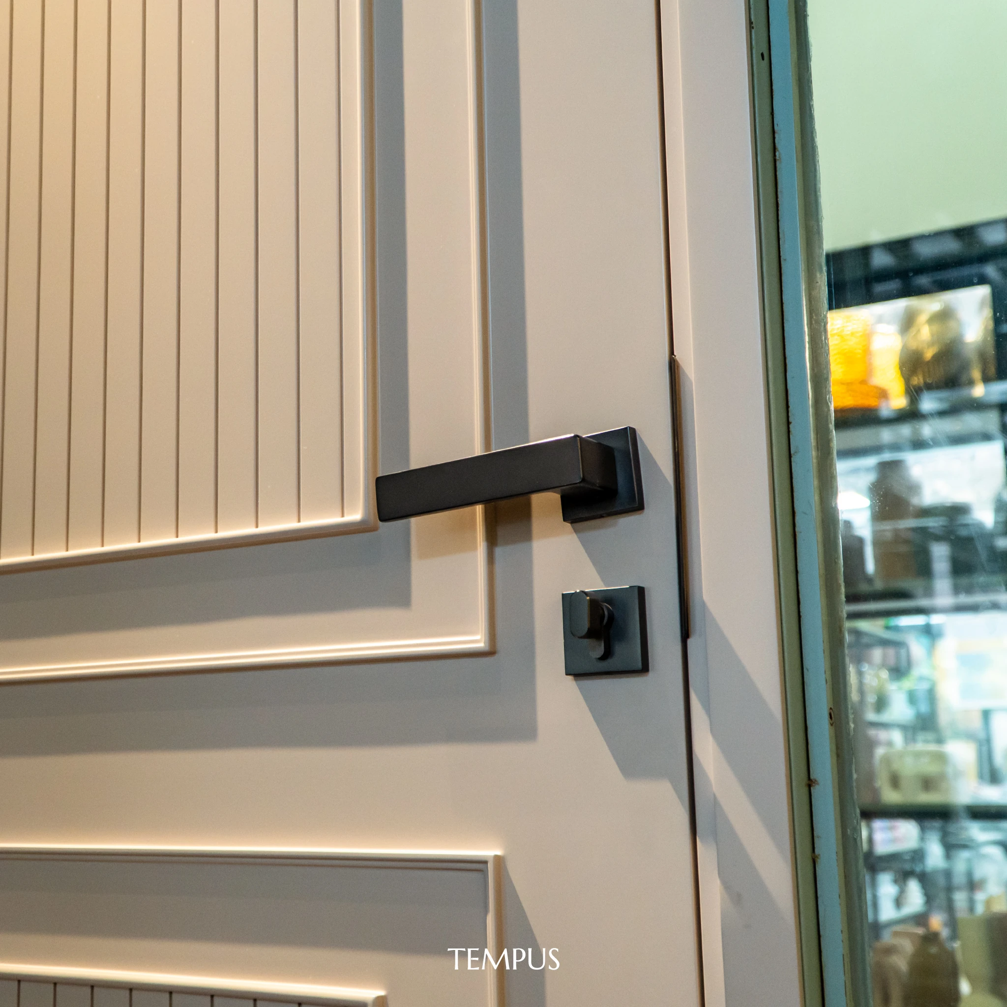Luxury-CADENCE doors