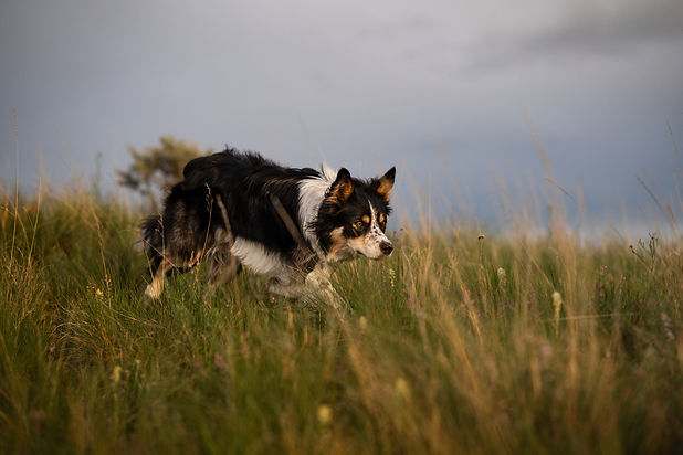 DSC_5680.jpg