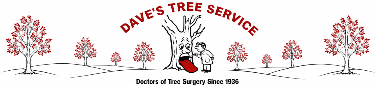daves-tree-service-header.png