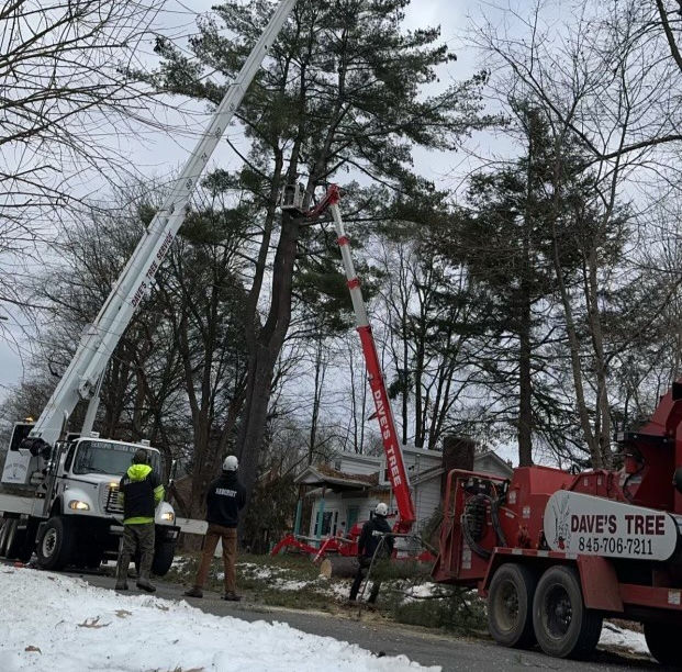 rhinebeck-tree-removal-services.jpg