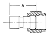 10sfc.gif