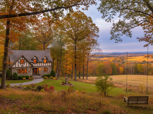 Tree Care in the Hudson Valley Why Dave's Tree Service in Rhinebeck Stands Out