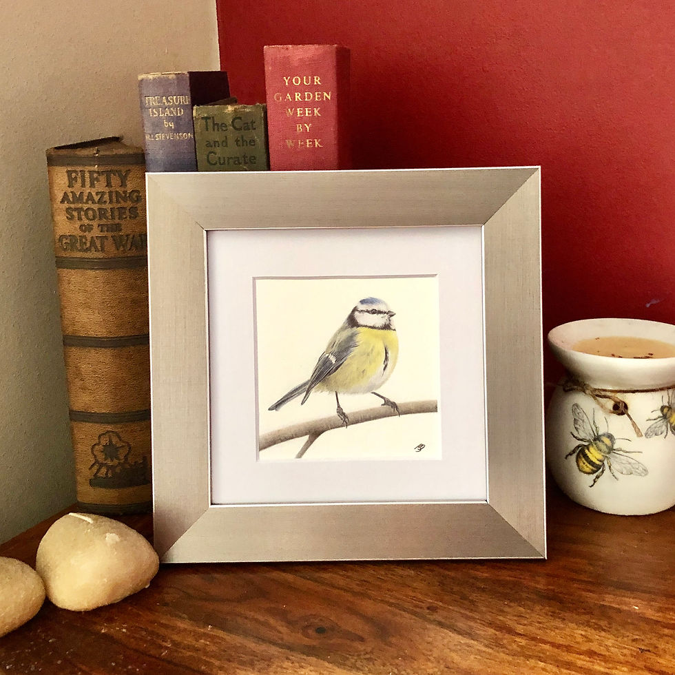 Thumbnail: Blue tit