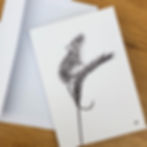 Thumbnail: Set of 4, A5 greeting cards