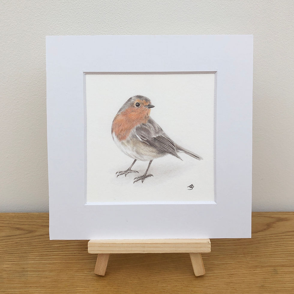 Thumbnail: Robin
