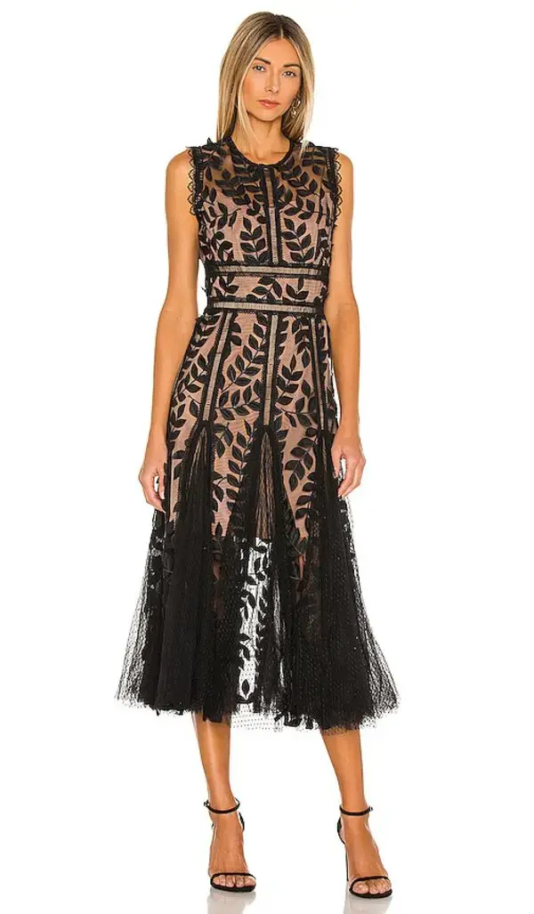 Miniatura: Black Leaves