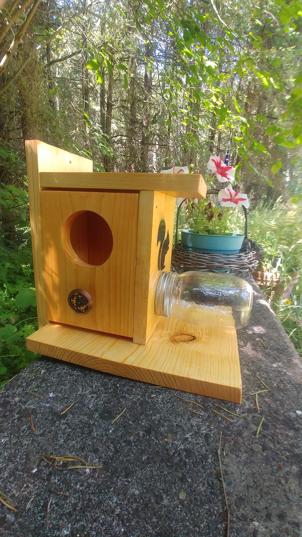 Thumbnail: pine squirrel feeder