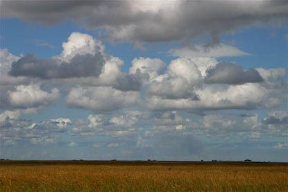 Everglades-Florida-USA