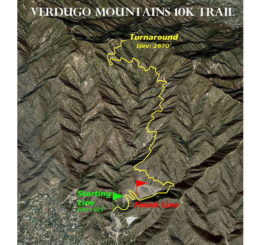 Race-Route2.gif
