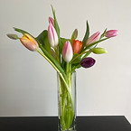 IMG_4372.jpeg