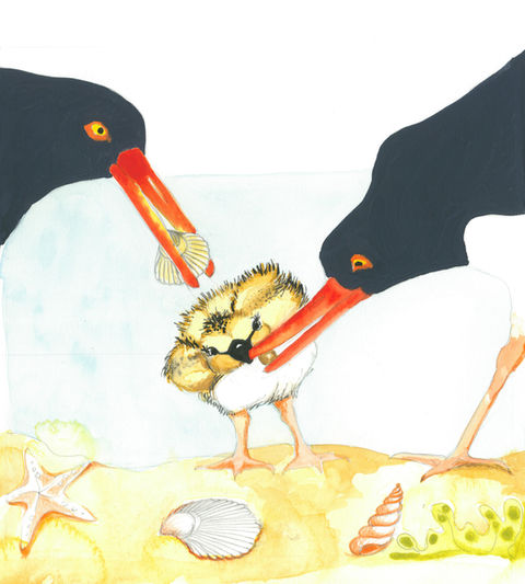 Page one of the Book,
"Who am I?"