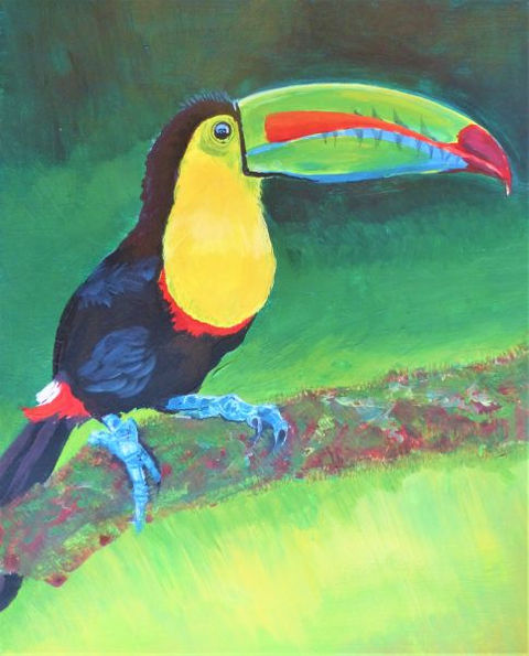 Toucan with yellow breast and green red and blue bill.
