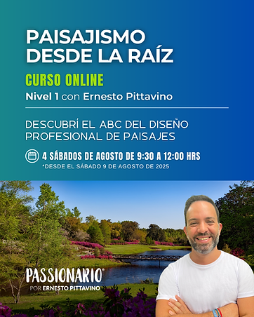 COPN1 agosto 2025 - Post - Passionario.png