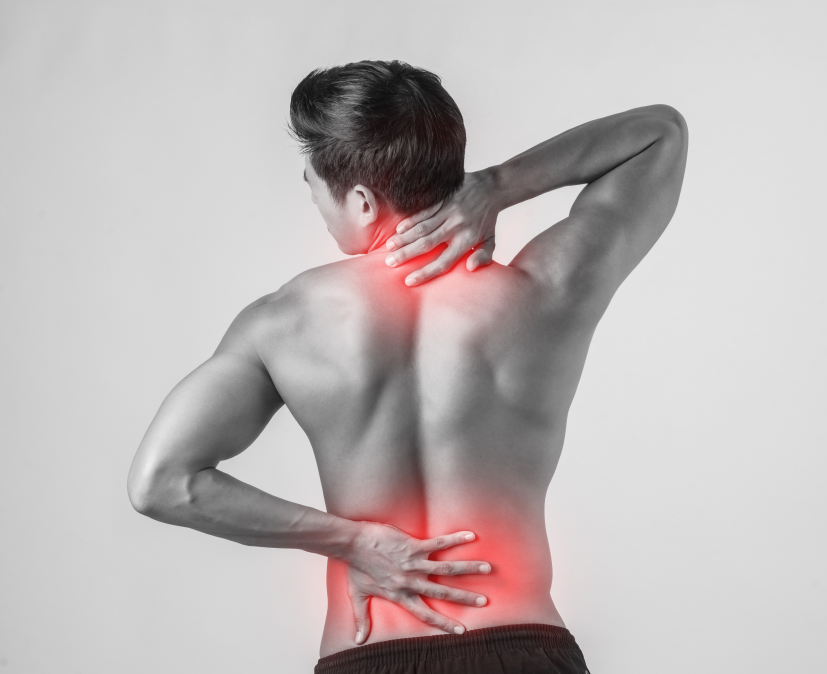 back-ortho.png