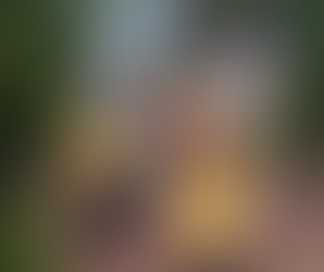 Kids hiking in the woods, exploring nature at camp.