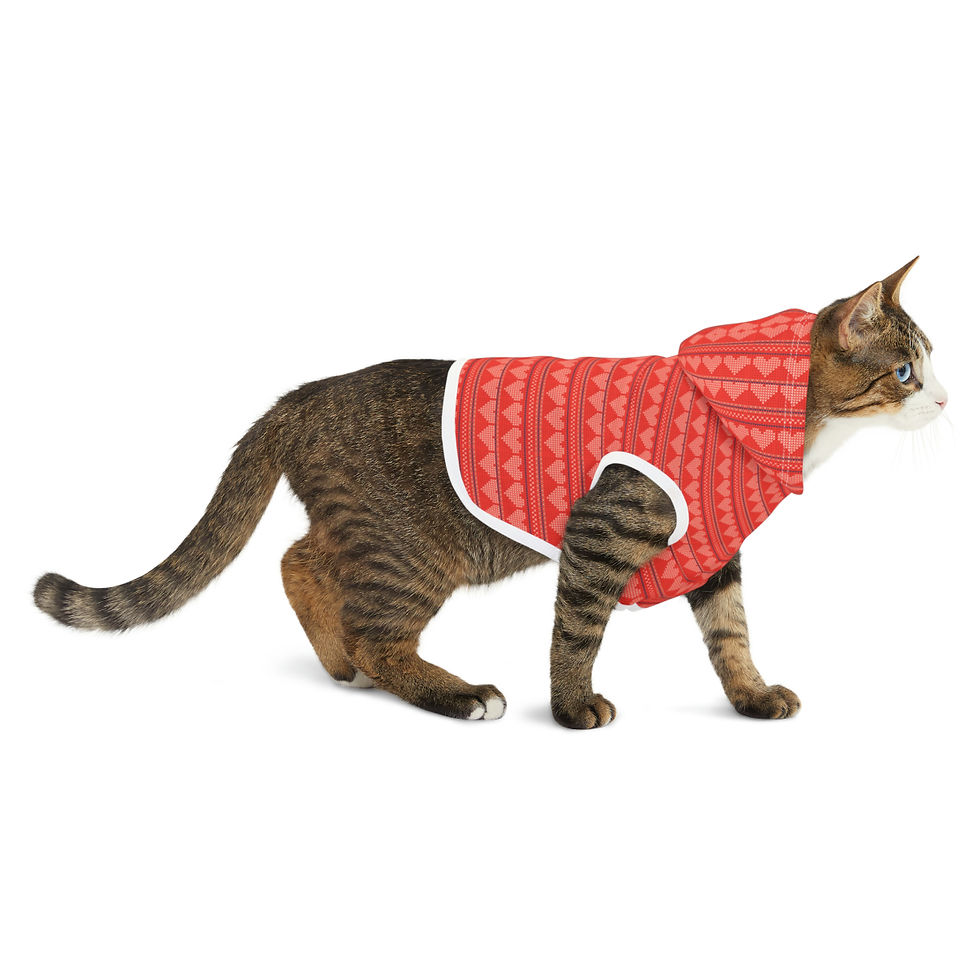 Thumbnail: Lots of Love Christmas Pet Hoodie