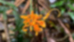 70-1536x864.jpg