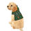 Thumbnail: Rudolph Reindeer Christmas Pet Hoodie