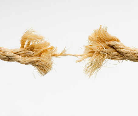 🌿 👉 𝐋𝐞 𝐣𝐨𝐮𝐫 𝐨𝐮̀ 𝐭𝐨𝐮𝐭 𝐚 𝐜𝐨𝐦𝐦𝐞𝐧𝐜𝐞́… 𝐧’𝐞𝐬𝐭 𝐬𝐨𝐮𝐯𝐞𝐧𝐭 𝐩𝐚𝐬 𝐮𝐧 𝐡𝐚𝐬𝐚𝐫𝐝.