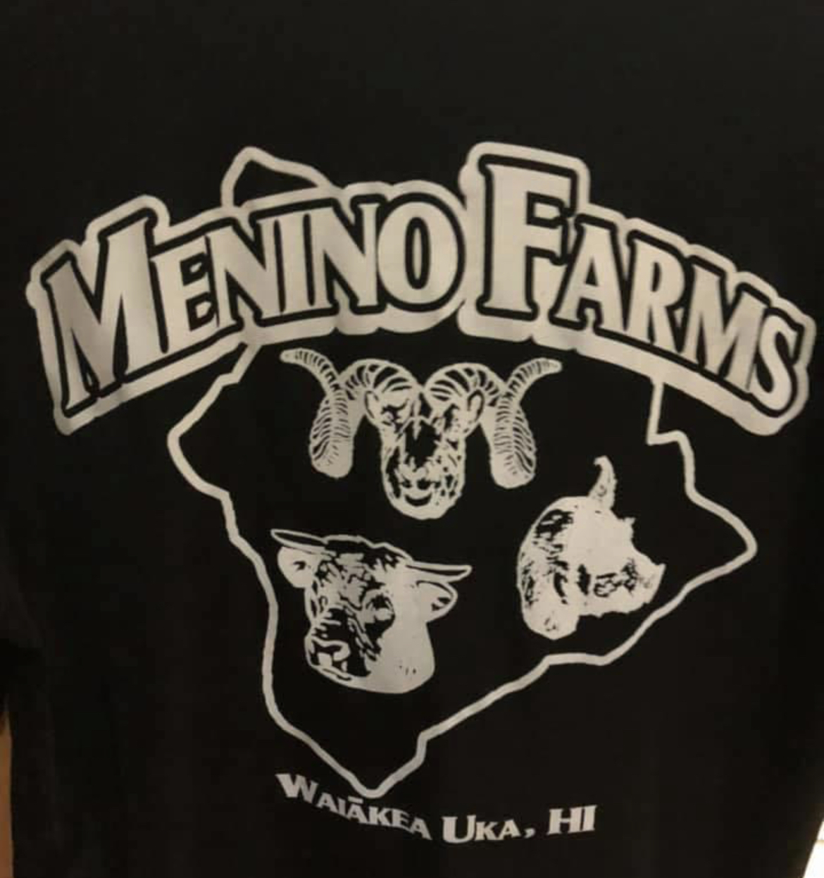 Menino Farms - Horse Riding School in Hilo