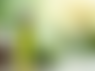 Discover Natural Products for Effective Skincare Solutions