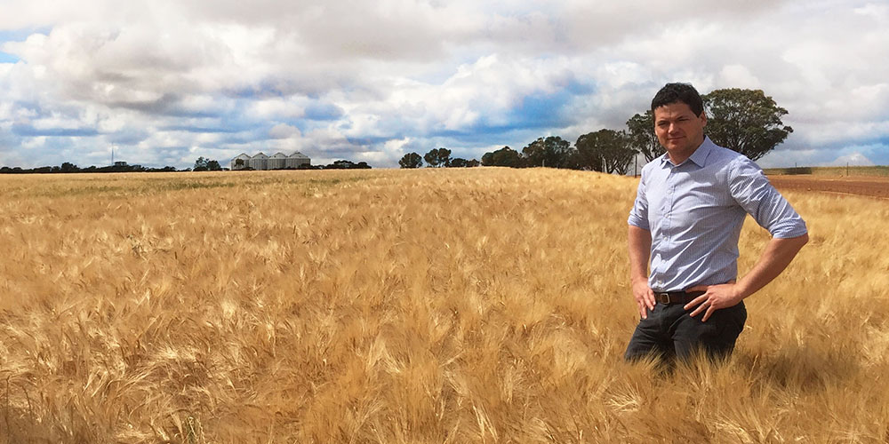 The great disconnect between grower prices and international prices