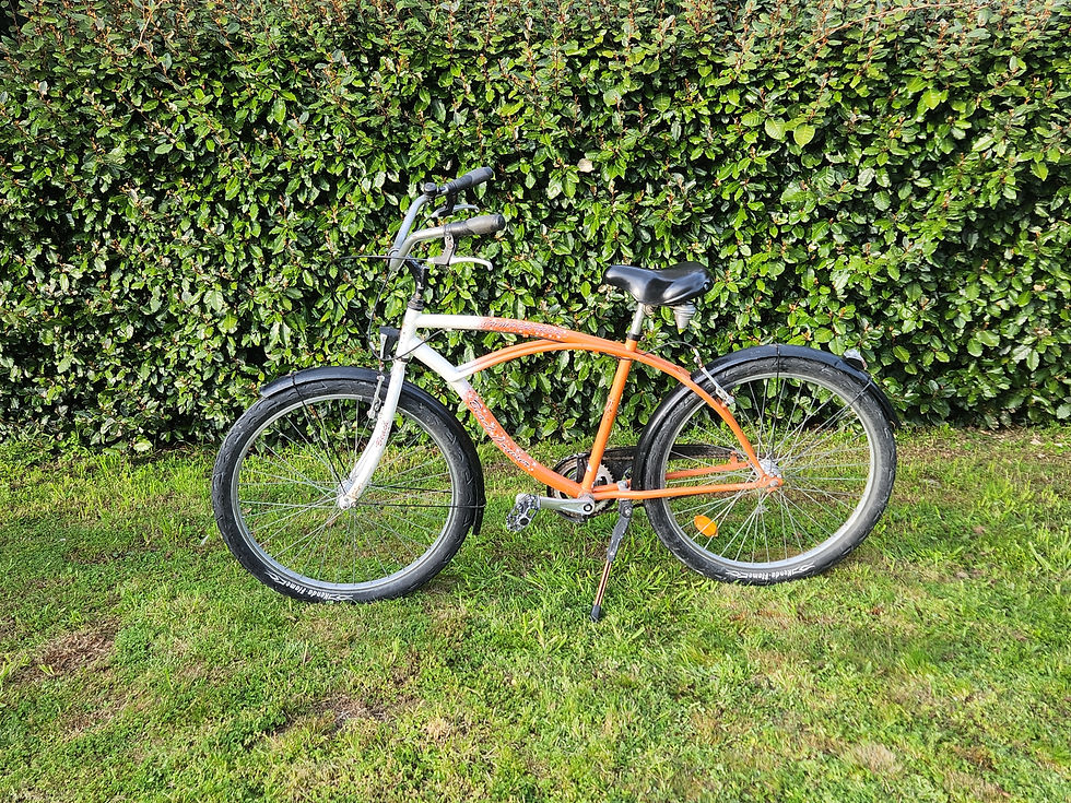 Cruiser sans vitesse