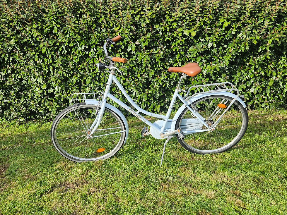 Mono-vitesse blanc