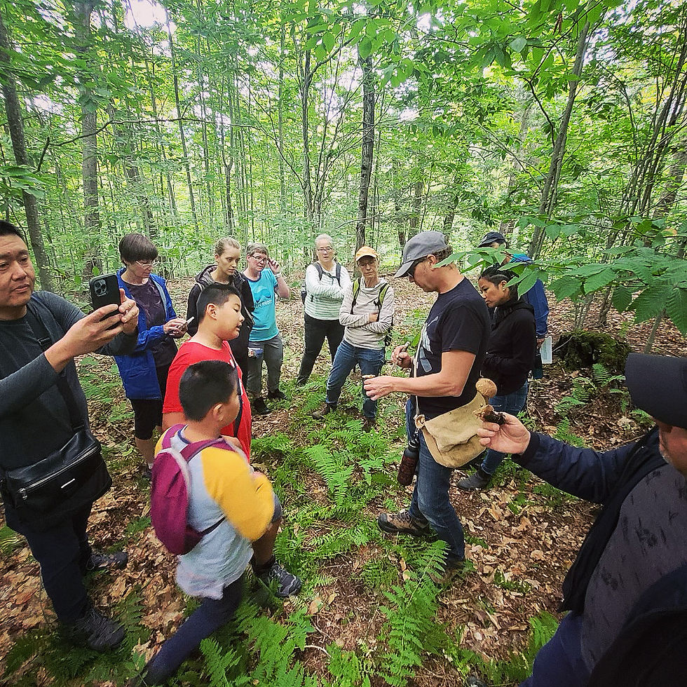 Immersive Experience - Tea with Steve! Plant Identification Workshop, TEA WALK & Lunch with @stevie_funfur