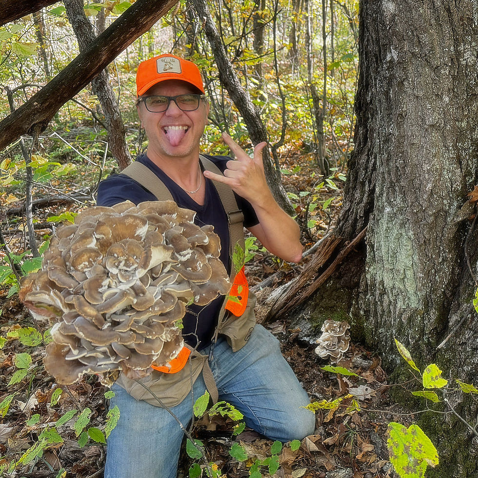 Immersive Experience - Intro to Foraging for Wild Edible Mushrooms Workshop with @stevie_funfur