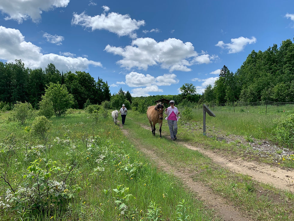 Trail walk (1).JPG