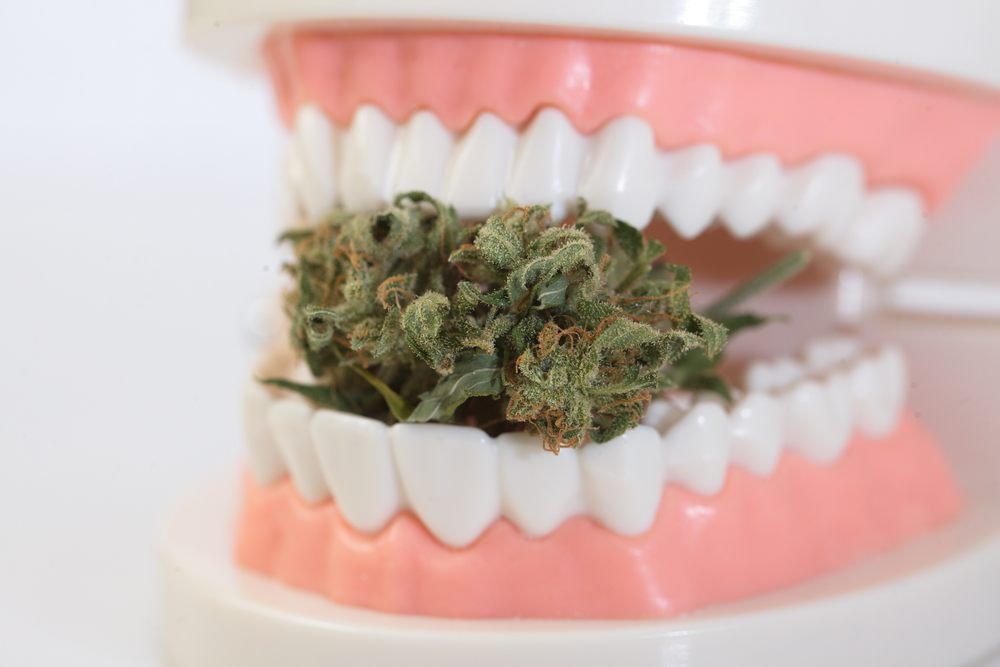 does weed stain teeth like cigarettes Marijuana And Your Smile