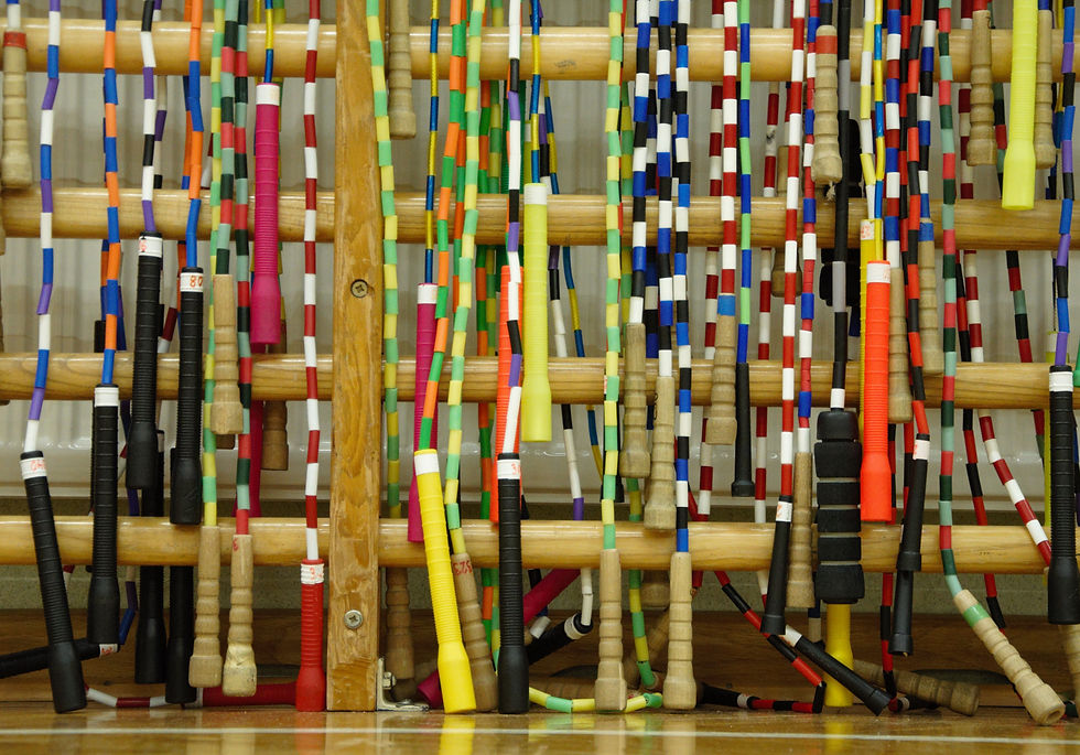 RSVÖ bietet Ausbildungen und Workshop an 