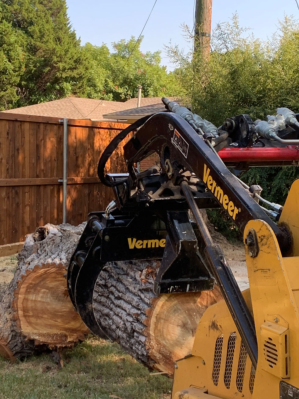 High angle view of a tree removal crew cutting down a large tree in a suburban neighborhood