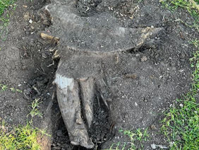 Why you need to hire a professional!