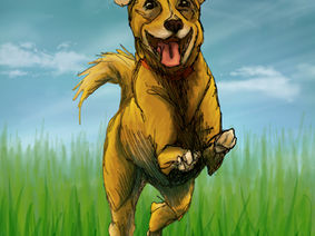 MFA Thesis Gallery Show