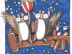 Embracing the Journey: A Guide for First-Time Children's Book Authors