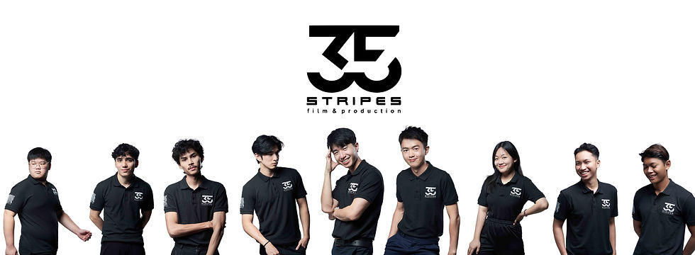 35 Stripes PP.jpg