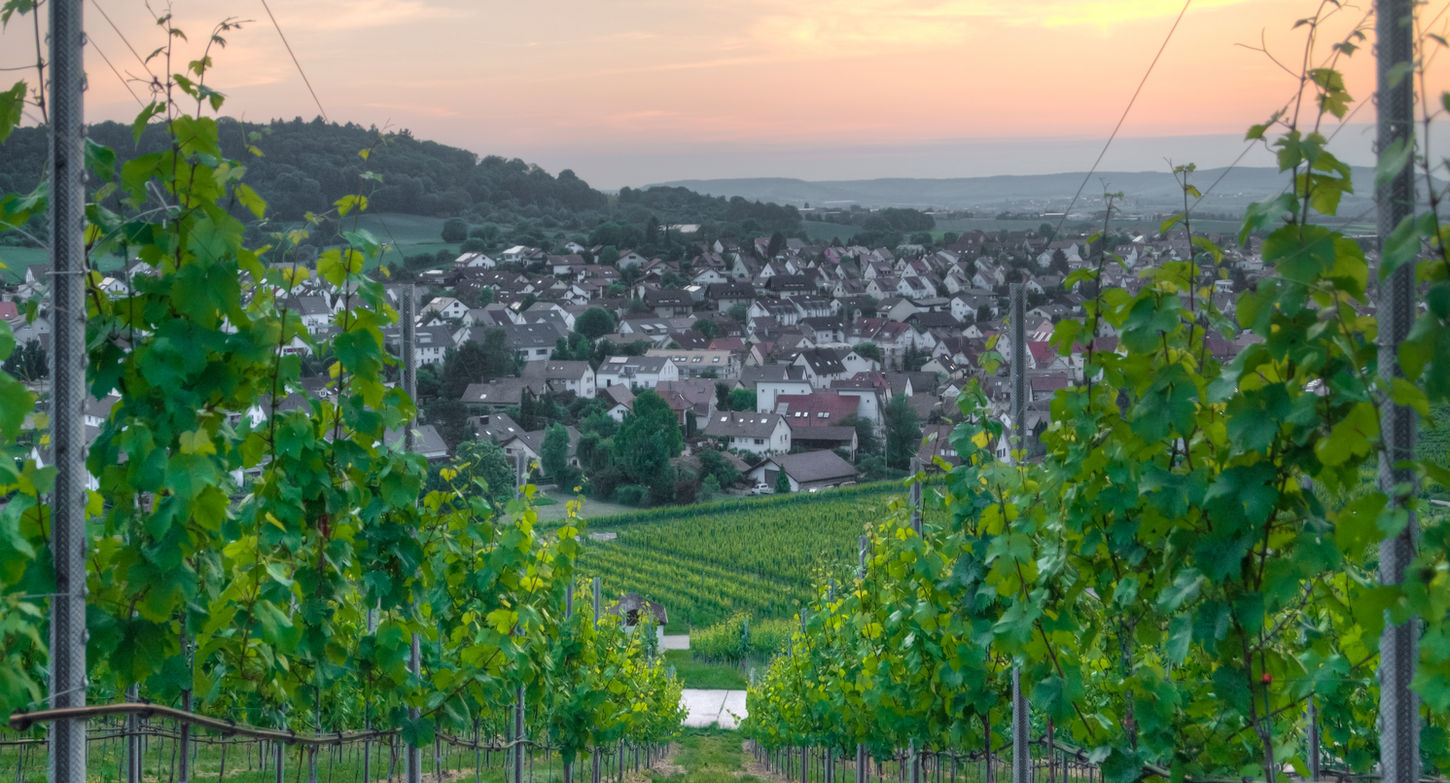 Hausverkauf in Flein leicht gemacht mit Perfect Home Immobilien